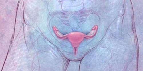 Ovarian cancer: Causes, symptoms risk factors, treatment and prevention