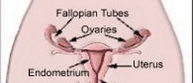 Urinary Tract Infections in Women: Why they occur and how to treat them?