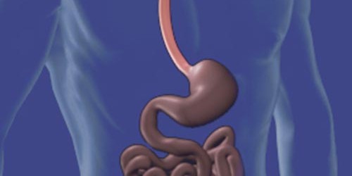 Risks factors for oesophageal cancer