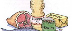 The facts about Atkins Diet: Pros and Cons