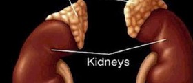 Adrenalectomy surgical techniques and the reasons why