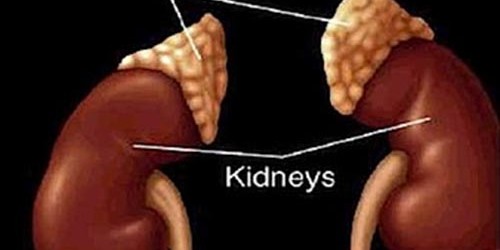 Adrenalectomy surgical techniques and the reasons why