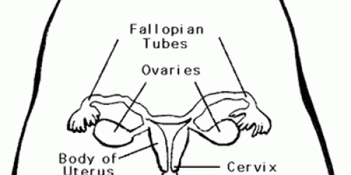 Cervical cancer prevention: How to reduce the risk?
