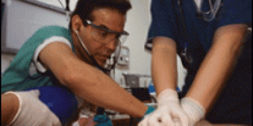 The outcomes of Septic shock