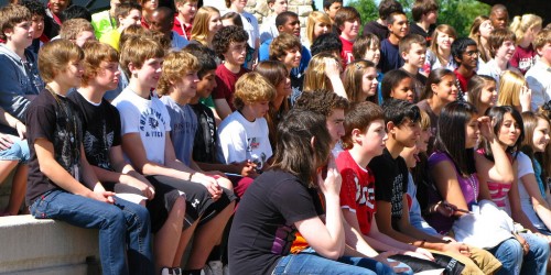 Follicle Hormone: Effects on Pubertal Maturation