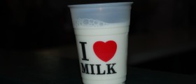 Milk Diet And Weight Loss: How It Works And What Can Be Achieved?