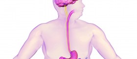 New Weight Loss Solution: An Implantable Device That Reduces Appetite