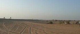 University research uncovers the link between ancient desert plant extract and human sebum