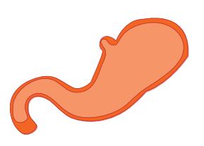 About chronic gastritis