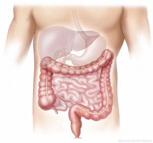 About digestive problems