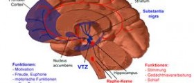 About dopamine neurotransmitter