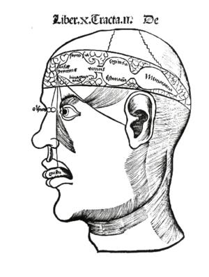 About epilepsy complications
