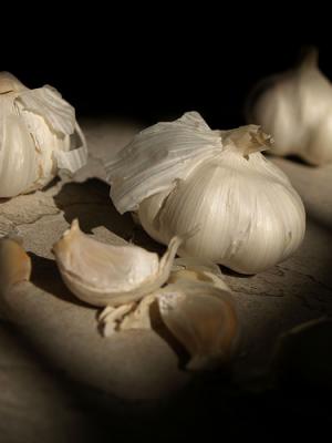 About garlic nutrition