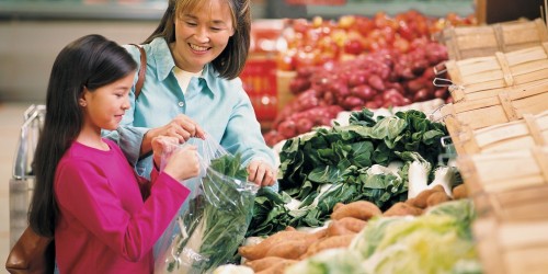 Vegetarian Children: Benefits And Concerns