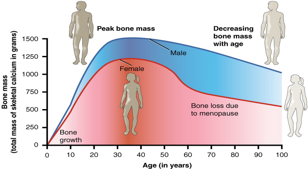 body fat percentage healthy range male