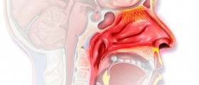 Controlling The Symptoms Of Allergic Rhinitis
