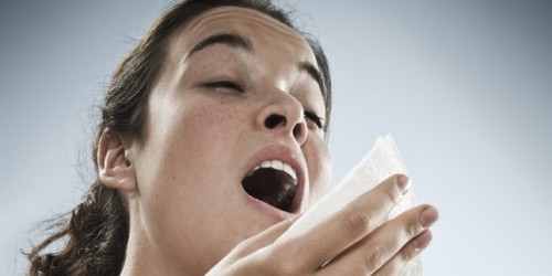 Allergies: An Overactive Immune System