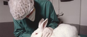 Is Animal Research Still Necessary?