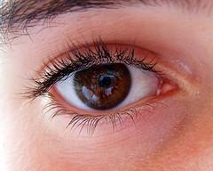 Anti-wrinkle eye cream
