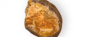 Antimony poisoning facts
