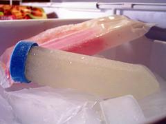 Artificial insemination facts