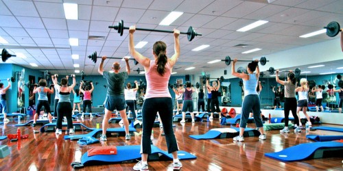 Vegetarians Who Train