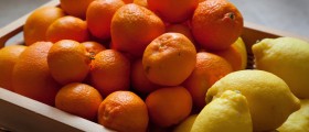 What Is An Antioxidant Anyway?