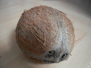 Benefits of coconut oil - health benefits of coconut oil