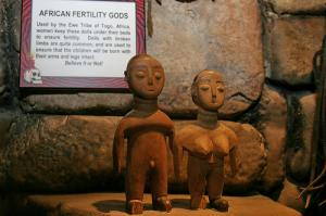 Best supplements for fertility