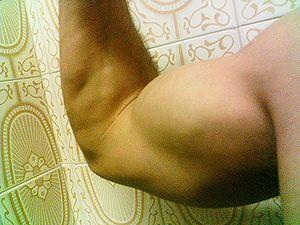 Bicep exercises without weights