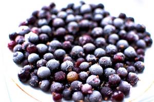 Black currant oil