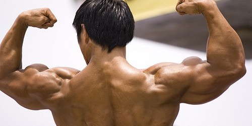 Building Muscle On An Intermittent Fasting Diet