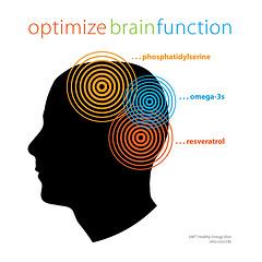 Brain development in early childhood