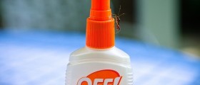 How To Make Your Own Bug Repellent With Natural Ingredients