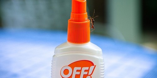 How To Make Your Own Bug Repellent With Natural Ingredients