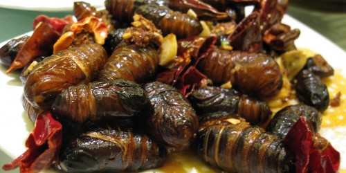 The Bulletproof Diet: What You Should Know