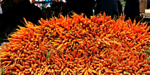 The Anti-Cancer And Other Properties Of Carrots