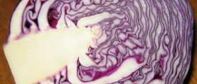 Cabbage soup diet