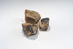 Calcium from diet