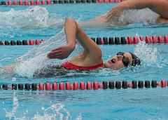 Calories burned while swimming