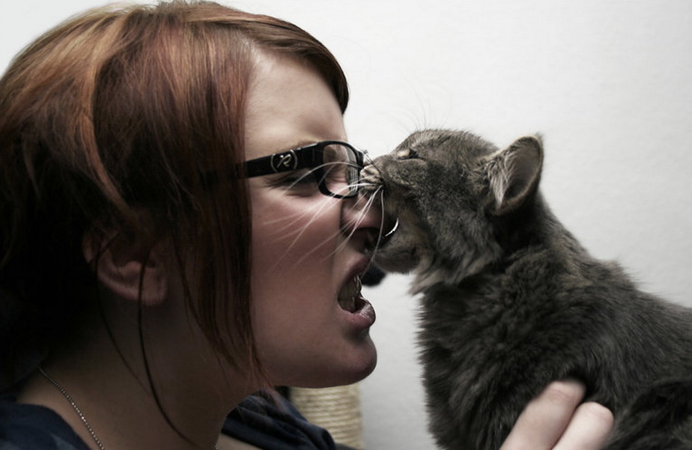 How Serious Can A Cat Bite Be? Injuries, Fractures and Burns articles Body & Health