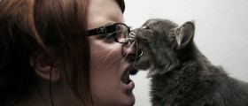 How Serious Can A Cat Bite Be?