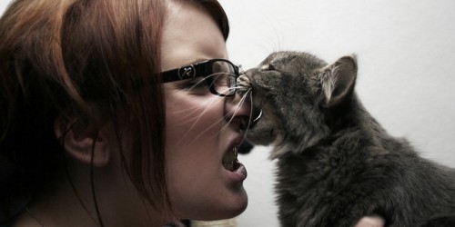 How Serious Can A Cat Bite Be?