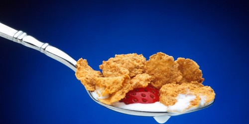 The Importance Of Iron In Our Diet