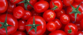 Tomatoes And Cancer Prevention