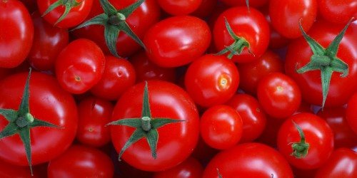 Tomatoes And Cancer Prevention