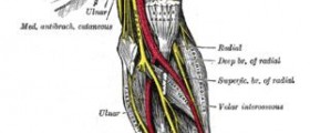 Chronic pins and needles