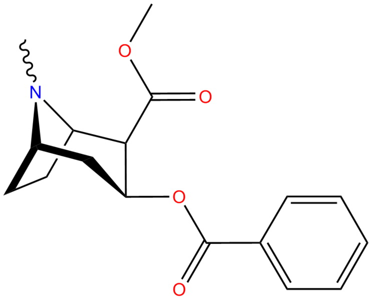 cocaine-formula-diagram2.jpg