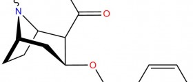 About Cocaine