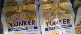 Coenzyme Q10 - a Vitamin-Like Substance Essential for Functioning of Several Cells and Tissues
